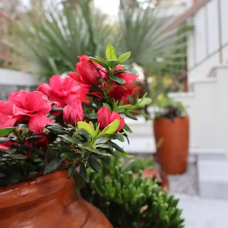 Casa Chaes Oda ve Kahvaltı