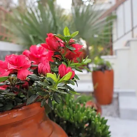 Casa Chaes 3*