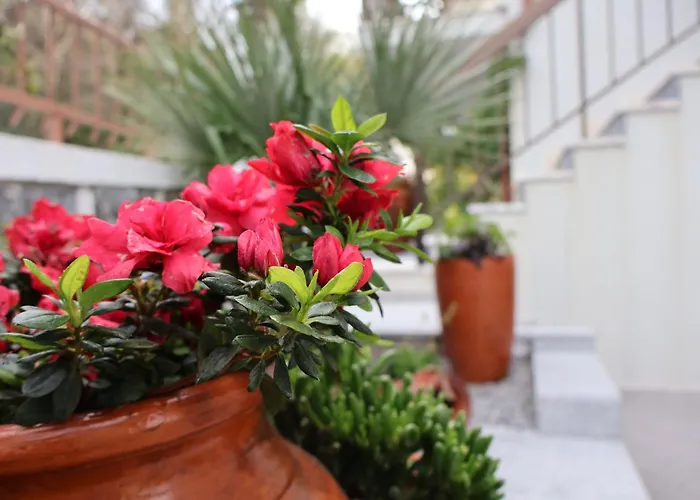 Casa Chaes Bed & Breakfast